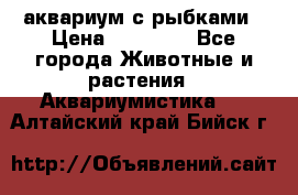 аквариум с рыбками › Цена ­ 15 000 - Все города Животные и растения » Аквариумистика   . Алтайский край,Бийск г.